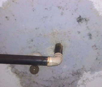 市南卫生间防水哪家好